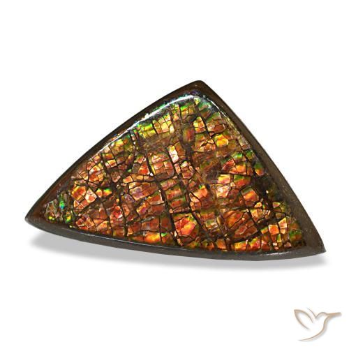 Ammolita multicolorido natural 6,33ct, trillion, opaco