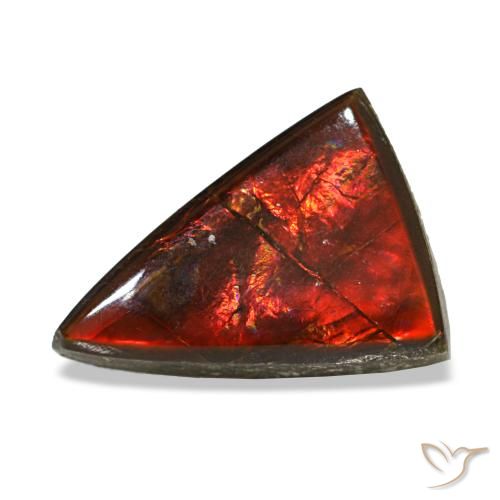 Ammolita multicolorido natural 3,12ct, trillion, transparente