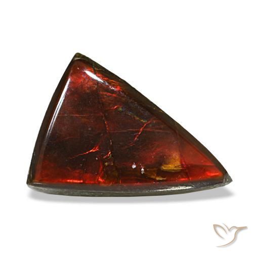 Ammolita multicolorido natural 3,12ct, trillion, transparente