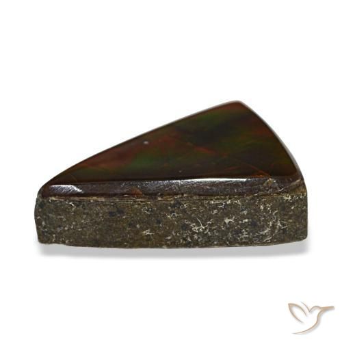 Ammolita multicolorido natural 3,12ct, trillion, transparente