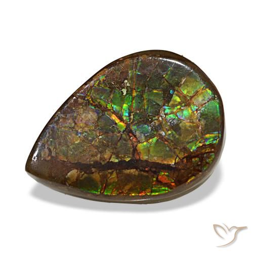 6.06ct multicolorido ammolita, formato de pêra, opaco