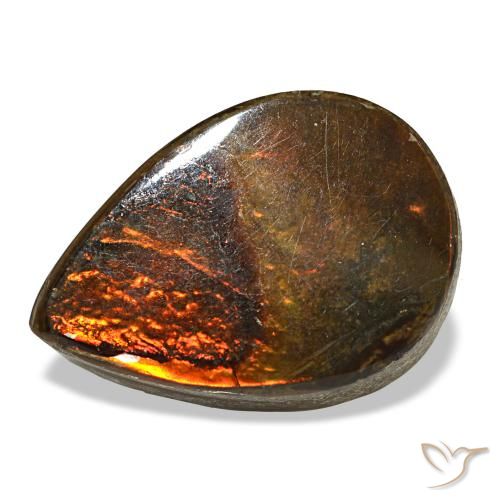 5.02ct multicolorido ammolita, formato de pêra, opaco