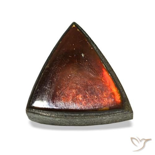 Ammolita multicolorido natural 1,53ct, trillion, opaco