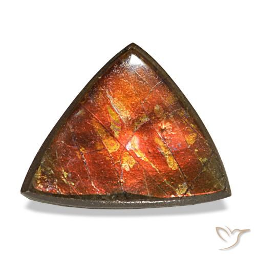 3.33ct multicolorido ammolita, trillion, opaco