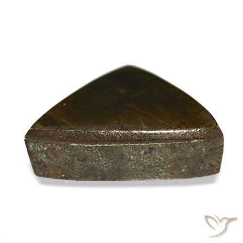 Ammolita multicolorido natural 3,33ct, trillion, opaco