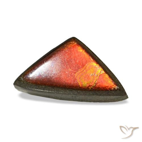 Ammolita multicolorido natural 1,47ct, trillion, opaco