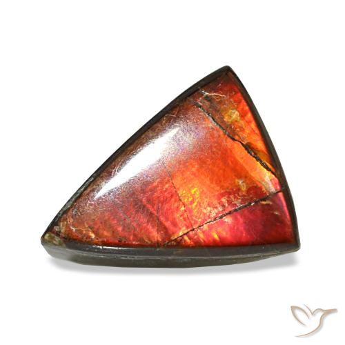Ammolita multicolorido natural 1,64ct, trillion, opaco