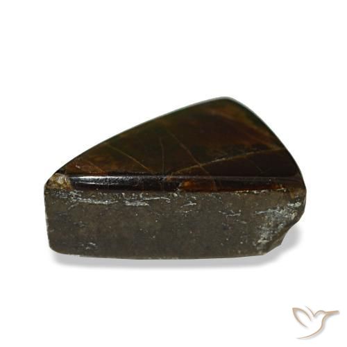 Ammolita multicolorido natural 1,64ct, trillion, opaco