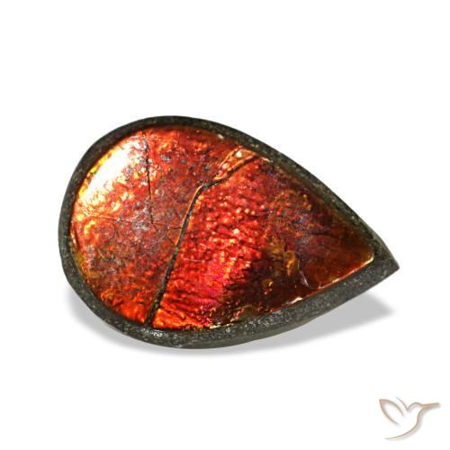 Ammolita multicolorido natural 1,42ct, formato de pêra, opaco
