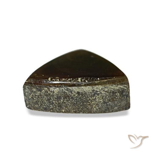 Ammolita multicolorido natural 1,17ct, trillion, opaco