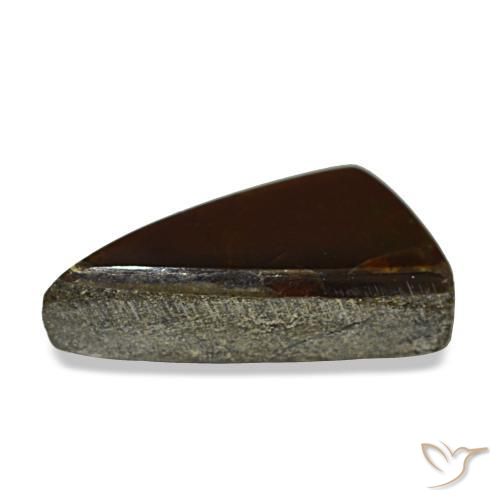 Ammolita multicolorido natural 1,89ct, trillion, opaco