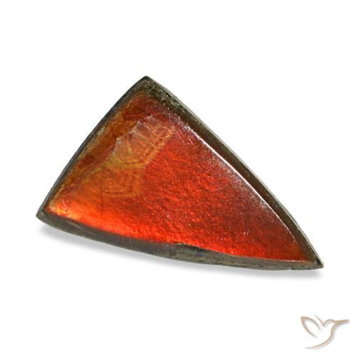 Ammolita multicolorido natural 1,11ct, trillion, opaco