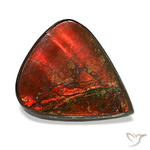 Ammolita multicolorido natural 8,58ct, formato de pêra, opaco