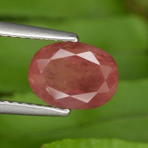 Andesina labradorita vermelho natural 1,43ct, corte oval, VS