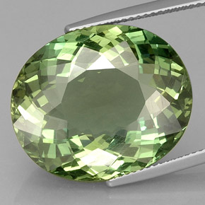 Apatita verde natural 24,47ct, corte oval, VVS-VS