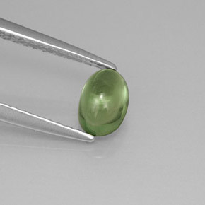 Apatita verde natural 0,63ct, corte oval, transparente