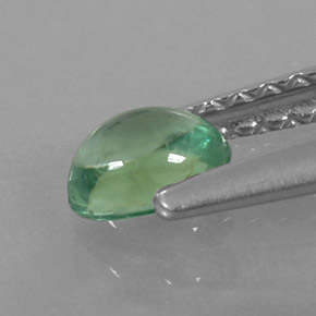 Apatita verde natural 0,33ct, corte oval, transparente
