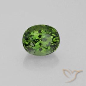 Apatita verde natural 4,92ct, corte oval, VS
