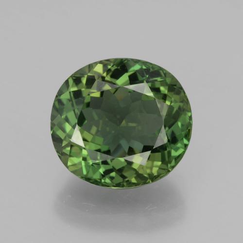 Apatita verde natural 6,01ct, corte oval, VVS-VS