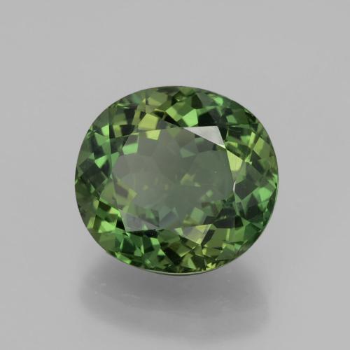 Apatita verde natural 6,01ct, corte oval, VVS-VS