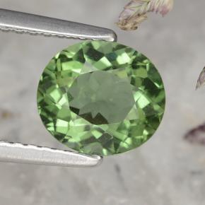 Apatita verde natural 1,58ct, corte oval, VS