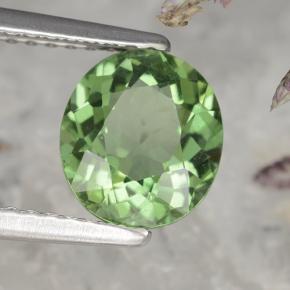 Apatita verde natural 1,58ct, corte oval, VS
