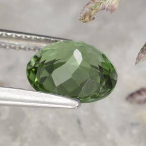 Apatita verde natural 1,58ct, corte oval, VS