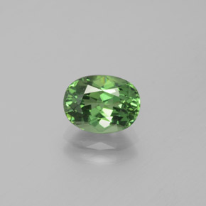 Apatita verde natural 1,69ct, corte oval, VVS-VS