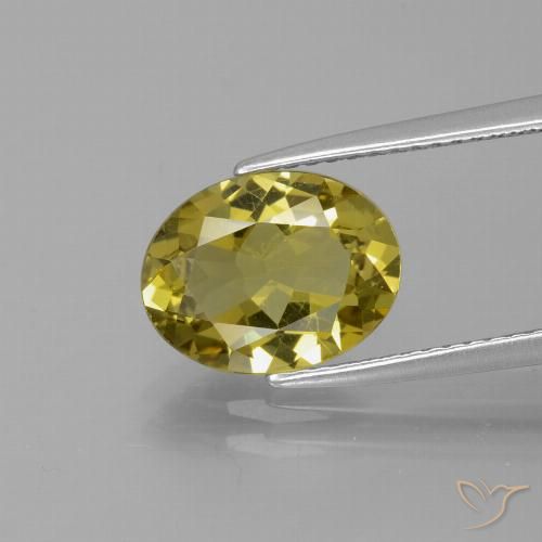 Apatita Amarelo escuro Natural 2.66ct, Corte Oval, VS