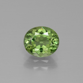 Apatita Verde Natural 1.25ct, Corte Oval, VVS
