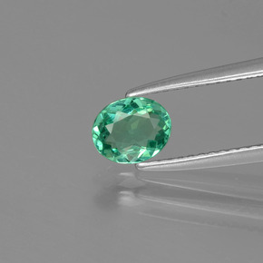 Apatita verde natural 0,59ct, corte oval, VVS-VS