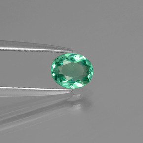 Apatita verde natural 0,59ct, corte oval, VVS-VS