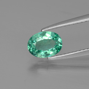 Apatita verde natural 0,77ct, corte oval, VS