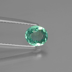 Apatita verde natural 0,62ct, corte oval, VVS-VS