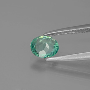 Apatita verde natural 0,62ct, corte oval, VVS-VS