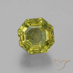Apatita Verde Floresta Quente Natural 11.16ct, Corte Octógono / Esmeralda, VS-SI