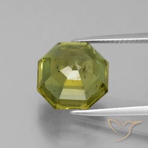 Apatita Verde Floresta Quente Natural 11.16ct, Corte Octógono / Esmeralda, VS-SI