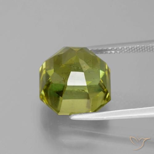Apatita Verde Floresta Quente Natural 11.26ct, Corte Octógono / Esmeralda, VS-SI