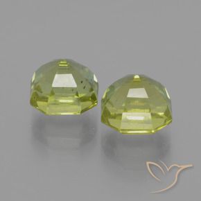 Pedras preciosas de Apatita Verde Floresta Quente natural de 7.45 ct, Corte Octógono / Esmeralda, VS