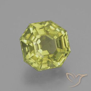 Apatita Verde Floresta Quente Natural 5.46ct, Corte Octógono / Esmeralda, VS