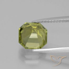 Apatita Verde Floresta Quente Natural 2.61ct, Corte Octógono / Esmeralda, VS