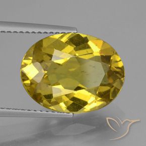 Apatita Outono Amarelo Natural 7.27ct, oval, VS