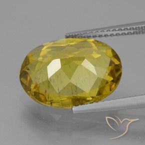 Apatita Outono Amarelo Natural 7.27ct, oval, VS