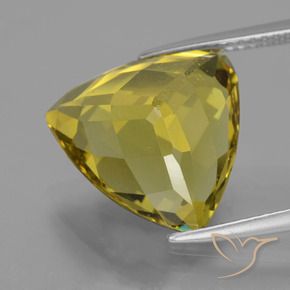 Apatita Outono Amarelo Natural 8.95ct, Trilhão, VS