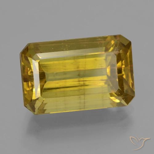 12.73ct Natural Amarelo Dijon Apatita, Corte Esmeralda, VS