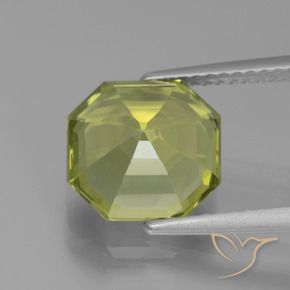 Apatita Medium Light Green Natural 3.95ct, Corte Octógono / Esmeralda, VVS-VS