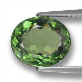 Apatita verde natural 3,12ct, corte oval, VS-SI