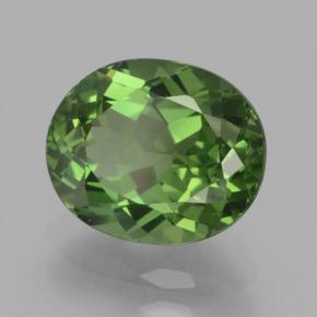Apatita verde natural 2,62ct, corte oval, VS-SI
