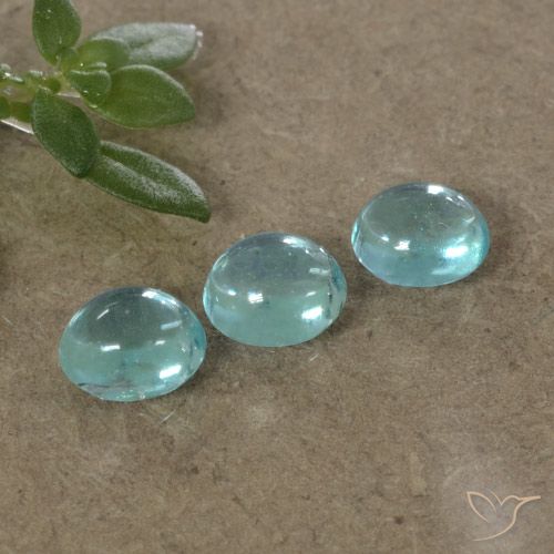 1.10ctw Natural Tom azul elétrico Apatita, oval, Transparente