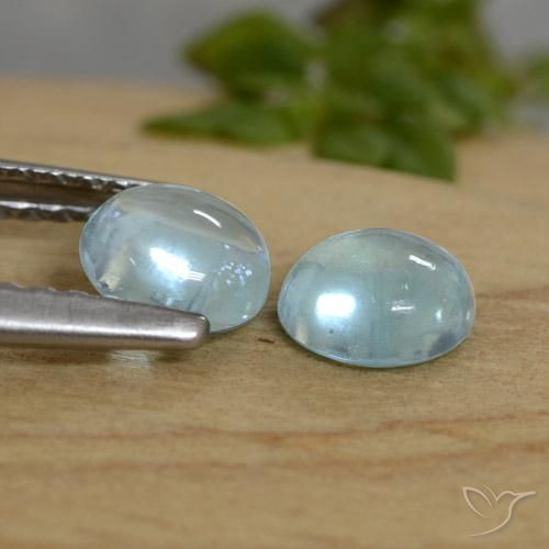 Pedras preciosas de Apatita Teal Claro natural de 1.07 ct, Redondo, Transparente